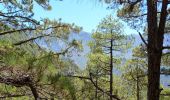 Tocht Te voet El Paso - Wikiloc - Caldera de taburiente Los Brecitos to Parking Barranco de las Angustias - Photo 18