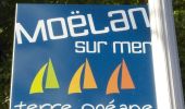 Trail Walking Moëlan-sur-Mer - MOËLAN sur MER - Photo 7