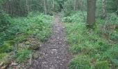 Randonnée Marche Esneux - pré de tilff . bois du manant.  bois des chevreuils  . pré  de tilff - Photo 6