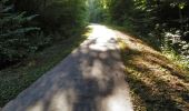 Trail Walking Virton - Sentier des Dragons  -  Marche_4kms - Photo 6