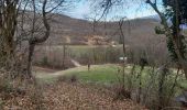 Trail Walking Varacieux - Le Molard d'Essemat- Varacieux - Photo 3