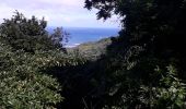 Tocht Stappen La Trinité - La Breche Granjean-Morne Pavillon en boucle  - Photo 5