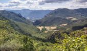 Trail Walking Laval-d'Aix - Abbaye Valcroissant - Photo 3