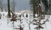 Trail Walking Fauvillers - Sur les traces des chevaliers maudits de Bodange  - Photo 4