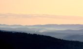 Tocht Stappen Garéoult - L'Amarron depuis Garéoult - Photo 17