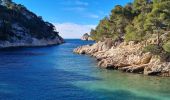 Randonnée Marche Cassis - cassis, en vau calanque et belvédère ,la fontasse - Photo 10