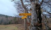 Tour Wandern La Chapelle-en-Vercors - Serre Plumé  - Photo 4