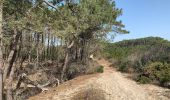 Excursión Senderismo Carcans - Fifi/zot carcans - Photo 5