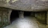 Randonnée Marche Nouzilly - Nouzilly - Caves troglodytes - Photo 5