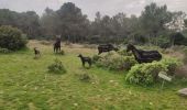 Trail Walking Tarascon - Parking du Planet - Chapelle St Gabriel - Photo 2