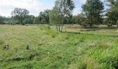 Tour Zu Fuß Bispingen - Wanderweg Durch das Tal der Haverbeeke - Photo 9