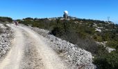 Tour Wandern Opoul-Périllos - Opium pétillons - Photo 11