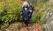 Trail Walking Fontainebleau - Croix de Toulouse 10 octobre 2023 - Photo 5