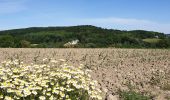 Tour Elektrofahrrad Ronse - En passant par Wittentak  - Photo 2