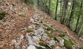 Trail Walking Cusy - 13-09-2022 La Grand-Raie au Col de la Cochette - Photo 11