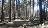 Randonnée Marche Manhay - plateau des tailles depuis Odeigne  - Photo 13