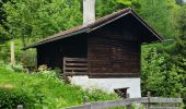 Trail On foot Oberaudorf - Wanderweg 8 - Oberaudorf - Photo 6