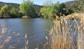 Trail Walking Roquebrune-sur-Argens - Le lac des Clos - Photo 8