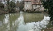 Trail Walking Rogny-les-Sept-Écluses - Promenade autour de Rogny - Photo 2