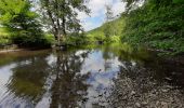 Trail Walking Viroinval - Boucle Olloy - Vierves par la rive droite du Viroin - Photo 7