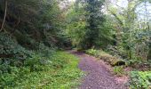 Trail Walking Liège - autour du domaine universitaire  - Photo 3