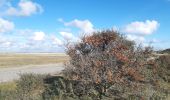 Tocht Stappen Cayeux-sur-Mer - lac de caouaisse . brighton . pointe de hourdel . lac de caouzisse   - Photo 8