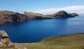 Trail Walking Caniçal - Madère : la presqu'île de Sao Lourenço - Photo 2
