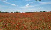 Tour Wandern Ambleny - Ambleny circuit St Martin  - Photo 2