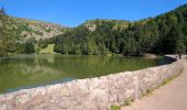 Randonnée Marche Orbey - Circuit des 2 lacs : lac du Forlet et lac Vert - Photo 12