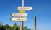 Trail Walking Le Lorrain - Boucle Vallon - Moreau - Carabin - Chemin Etoile - Photo 15