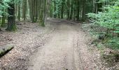 Trail Horseback riding Bastogne - Livarchamps 28 août 2021 - Photo 7