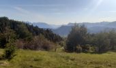 Trail Walking Bayons - BAYONS  . col des Sagnes , Peyrouret , Picouse , bergerie de Gautiere , Piaure , Giaire n - Photo 12