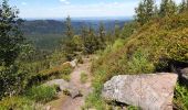 Trail Walking Grandfontaine - Positions fortifiées du Donon sentier des casemates - nord - Photo 15