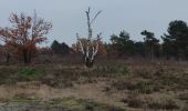 Tocht Stappen Lommel - A la découverte de Lommel  - Photo 5