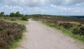 Percorso A piedi Stafford - Tolkien Trail Cannock Chase Walk - Photo 10