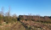 Excursión Senderismo Houffalize - ollomont . Le herou . les ondes . Le chesle . podri les ecwarais . ollomont  - Photo 10