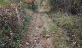 Trail Walking Saint-Sylvestre - Saint Sylvestre - Photo 7
