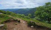 Excursión Senderismo Xonrupt-Longemer - 2024 RA Vosges J4 autour du Kastelberg - Photo 11