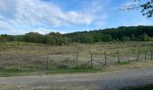 Randonnée Marche Aubange - Bois d’Halanzy et réserve du crassier - Photo 11