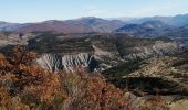 Tocht Stappen La Roche-sur-le-Buis - la montagne de Banne  - Photo 11