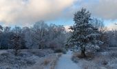 Randonnée Marche Spa - berinzenne entre forêt et fagne  - Photo 3