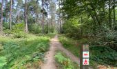 Trail Walking Viroinval - Oignies en Thierache 20,7 km - Photo 20