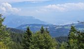 Tocht Stappen Lans-en-Vercors - Du col de croix de Perrin au Pas de Bellecombe - Photo 6