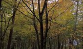 Tour Zu Fuß Ahlefeld-Bistensee - Wanderroute 8: Aschberg - Schoothorster Tal - Photo 4