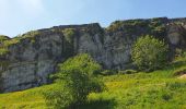 Randonnée Marche Wanze - Balade de Moha à Huccorgne - Photo 5