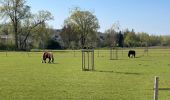 Tour Wandern Chaumont-Gistoux - BE-Chaumont-Gistoux - Le Bercuit par Dion-le-Val - blog le bruant wallon - Photo 8