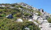 Tour Wandern Saint-Jacques-des-Blats - Puy Griou depuis le Col de Font de Cère - Photo 7