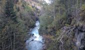 Trail Walking Les Deux Alpes - BOUCLE DU VENEON - Photo 7