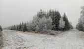 Tour Wandern Theux - dans le givre de Crambon  - Photo 14