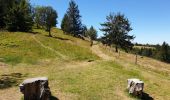 Tour Wandern Markirch - Col des Bagenelles et les deux Brézouard - Photo 7